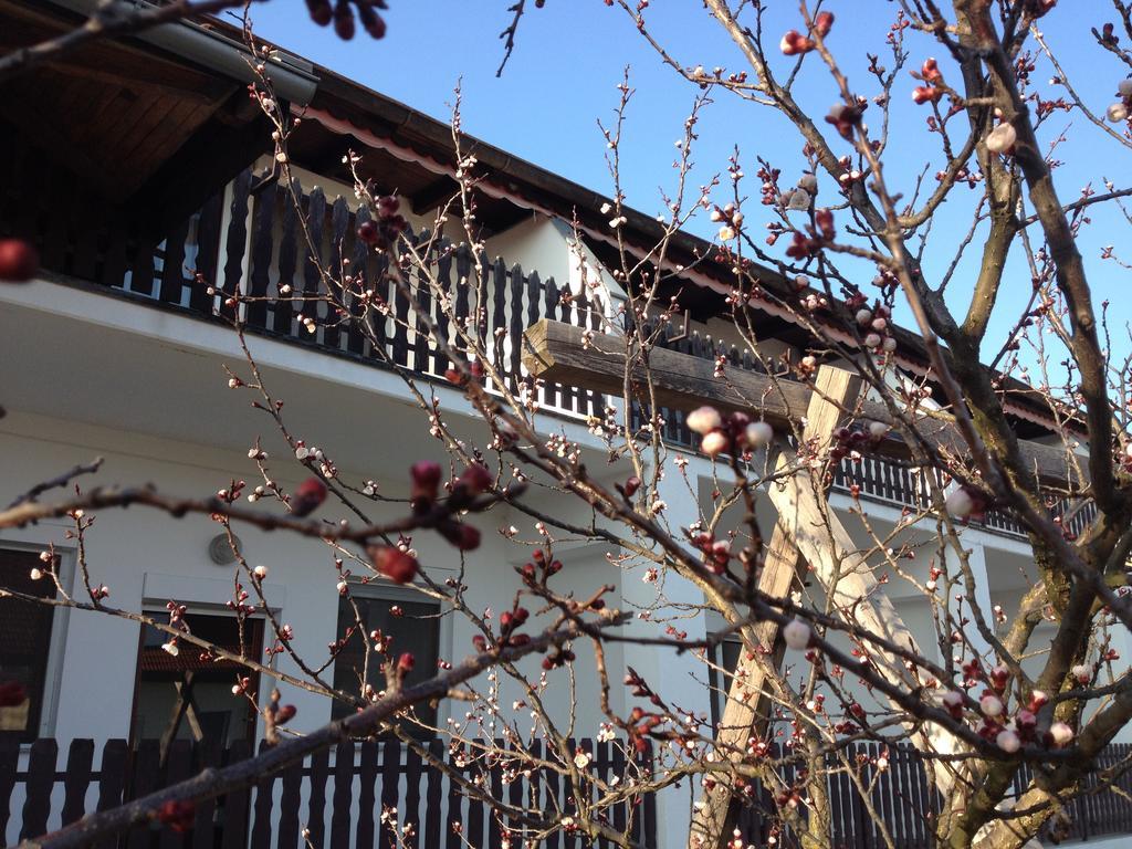 Pension Anna Hotel Rust Exterior photo